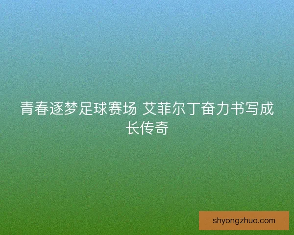 青春逐梦足球赛场 艾菲尔丁奋力书写成长传奇
